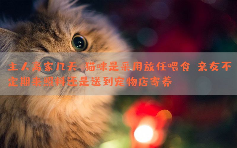 主人离家几天，猫咪是采用放任喂食、亲友不定期来照料还是送到宠物店寄养？(图1)