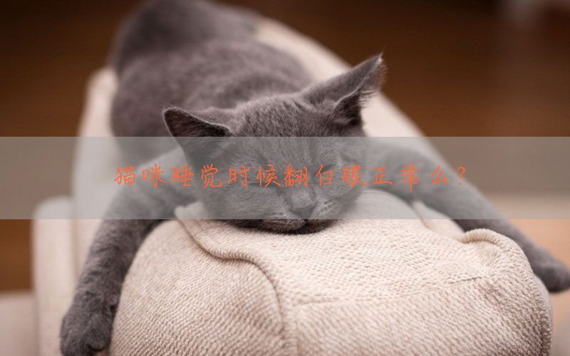 猫咪睡觉时候翻白眼正常么？(图1)