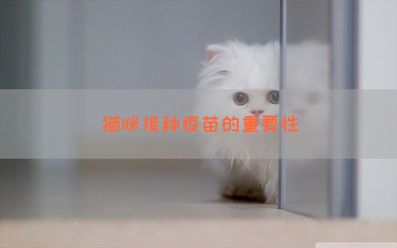 猫咪接种疫苗的重要性