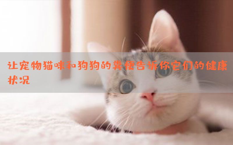 让宠物猫咪和狗狗的粪便告诉你它们的健康状况