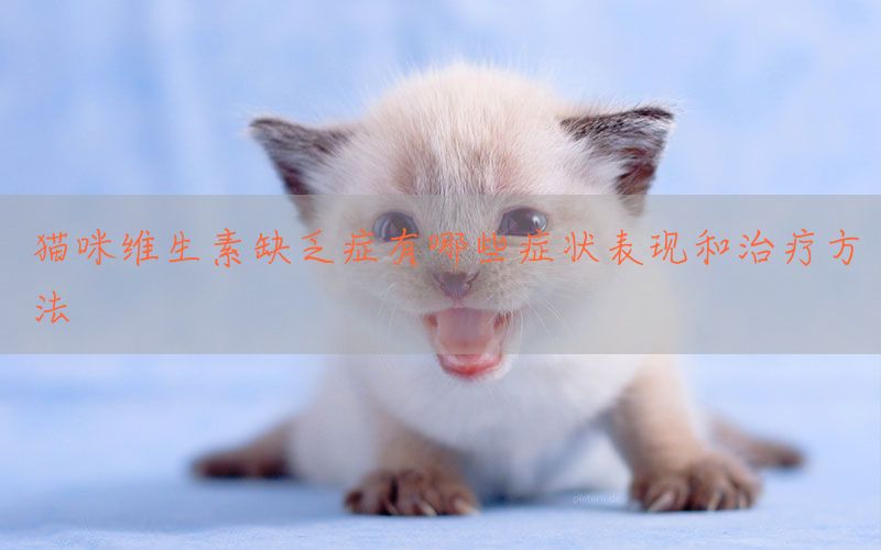 猫咪维生素缺乏症有哪些症状表现和治疗方法