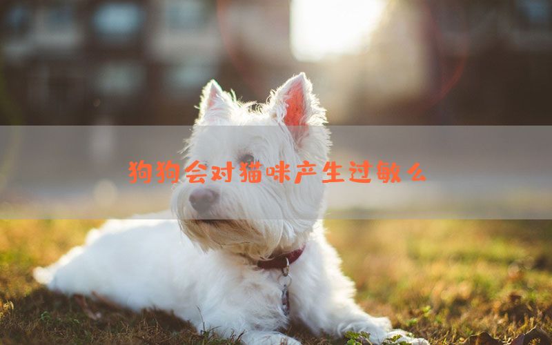 狗狗会对猫咪产生过敏么？